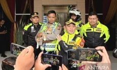 Gemas, Kucing Oyen Berseragam Polisi Hibur Pemudik dan Wisatawan di Pos Gadog