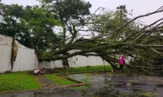 Hujan Disertai Angin Kencang, Pohon Tumbang dan Infrastruktur Kota Tasikmalaya Rusak