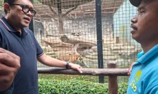 Bandung Zoo Disorot, Ono Surono Desak Evakuasi Satwa