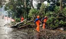 Cuaca Ekstrem, Empat Titik di Cimahi Terdampak Pohon Tumbang