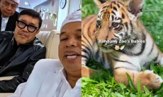 Usai Kematian Anak Harimau, Gubernur Jabar akan Ambil Alih Kebun Binatang Bandung