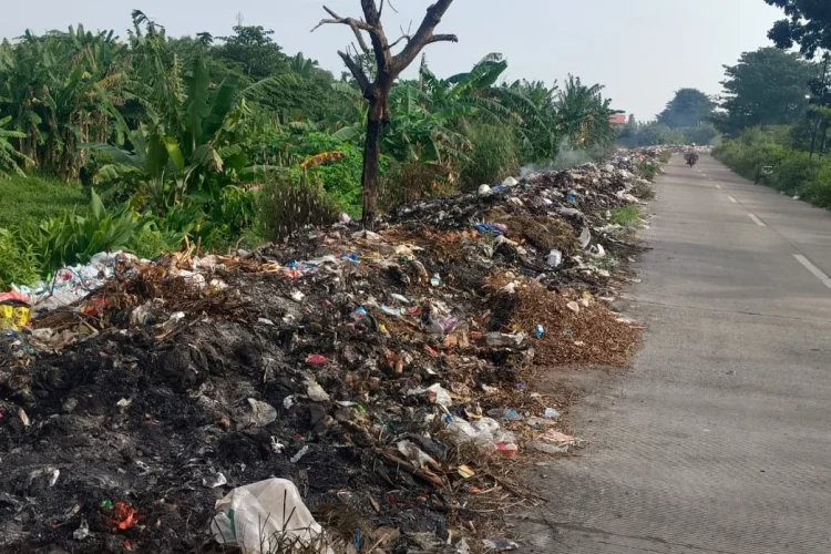 TPA Gunungsantri Overload, Ratusan Ton Sampah Meluber Hingga Badan Jalan