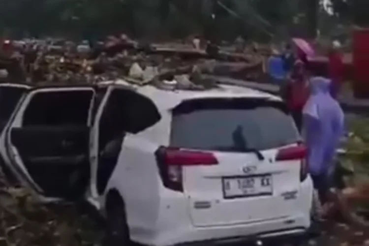 Hujan Deras dan Angin Kencang Terjang Batang, 3 Orang Tewas Tertimpa Pohon