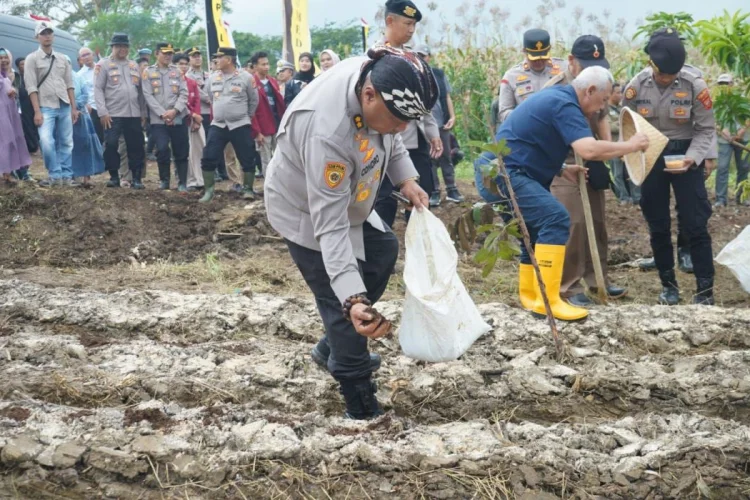Program Tanam Jagung Polda Jabar, Dinilai Bisa Jadi Contoh Nasional