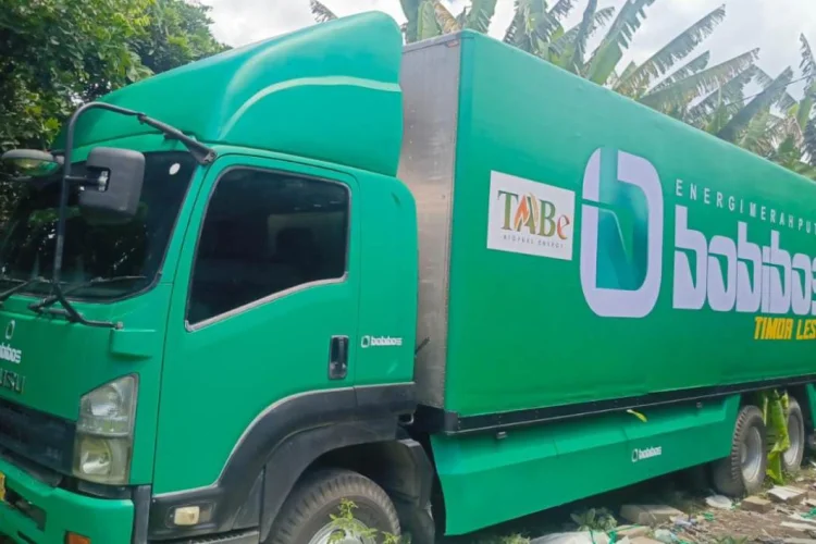 Bobibos Temuan Warga Jonggol jadi Solusi Kenaikan BBM di Timor Leste 