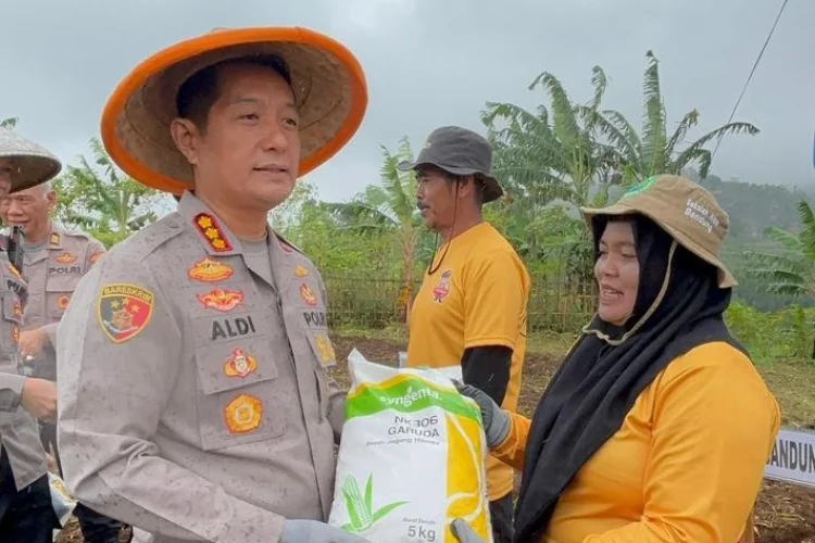 Polresta Bandung Tanam Jagung Serentak 4 Hektare di Cikancung