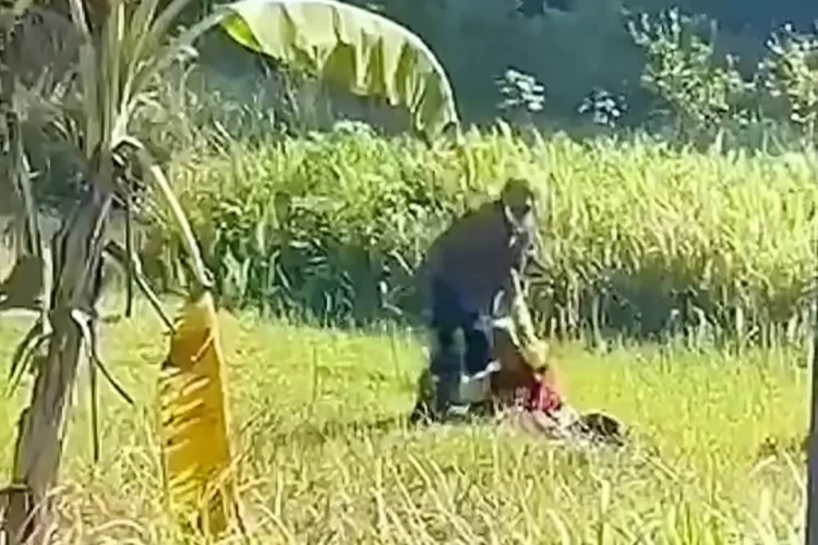 Viral Pria Lansia di Jombang Dibacok Anak Jalanan Saat Cari Rumput