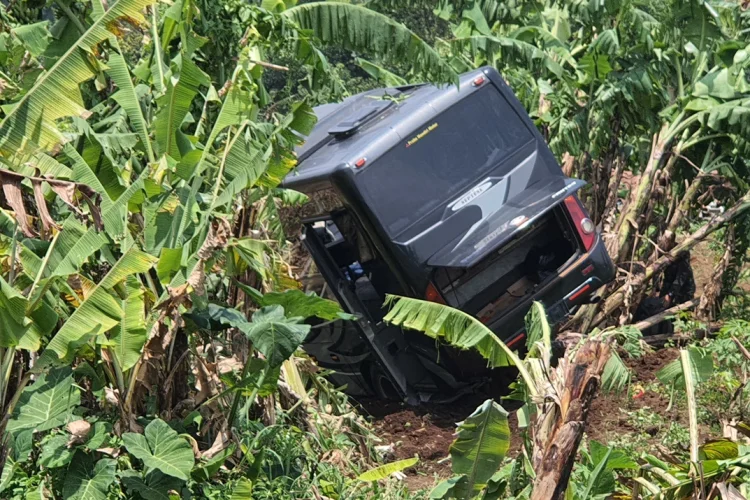 Diduga Rem Blong, Bus Pariwisata Hantam Sebuah Mobil dan Terperosok di Cijamil KBB