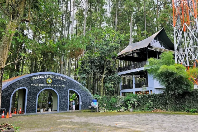 Hadirkan Alam dan Edukasi, Tahura Dago Alternatif Destinasi Wisata Saat Lebaran