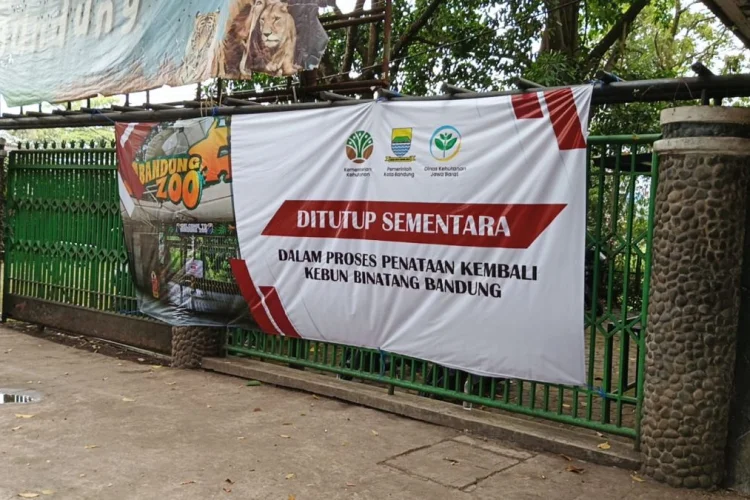 Geopix Soroti Kematian Dua Anak Harimau Benggala di Bandung Zoo