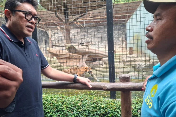 Bandung Zoo Disorot, Ono Surono Desak Evakuasi Satwa