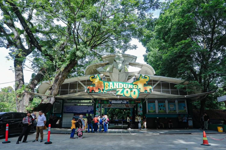 Target Satu Bulan, Kebun Binatang Bandung Siap Beralih Pengelola