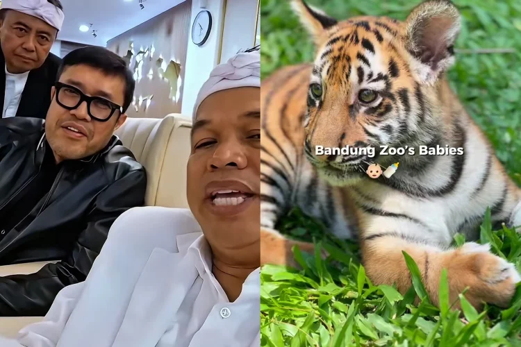 Usai Kematian Anak Harimau, Gubernur Jabar akan Ambil Alih Kebun Binatang Bandung