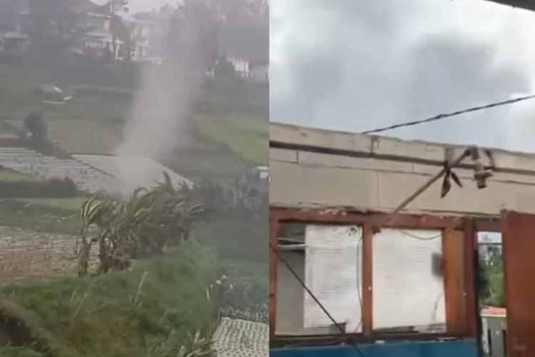 Angin Kencang Terjang Parongpong, Perkebunan Warga Rusak dan Pohon Bertumbangan