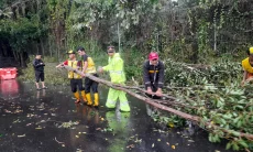 Pohon Tumbang di Ledeng, Seorang Warga Terluka, Jalan ke Lembang Terputus Sementara