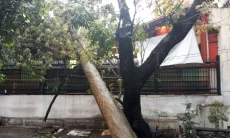 Pohon Raksasa Tumbang Timpa Sebagian Atap Yogya Pajajaran Bandung