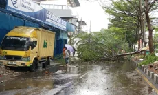Farhan Imbau Warga Waspada, Jangan Berteduh di Bawah Pohon Saat Cuaca Ekstrem