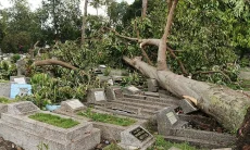 Puluhan Makam di Porib Rusak Akibat Tertimpa Pohon Tumbang