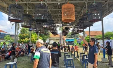 Rebutan Rp20 Juta, Ratusan Pehobi Kicau Mania Padati Arena Sumber Kabupaten Cirebon