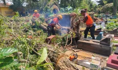 Sejumlah Pohon Tumbang Timpa Belasan Makam di TPU Cieunteung Kota Tasikmalaya