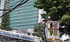 Biar PJU Terang, Dishub Kota Bandung Lakukan Pemangkasan Ranting Pohon