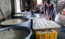 Harga Kedelai Meroket, Produksi Perajin Tahu di Kota Tasikmalaya Anjlok