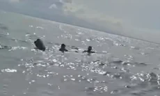 3 Nelayan Terombang-ambing 13 Jam di Laut Tanjung Lesung, Selamat Berkat Pemancing