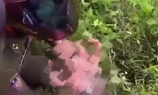 Dengar Tangisan, Warga Temukan Bayi Perempuan di Semak Belukar