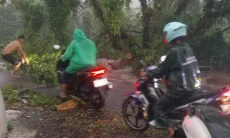 Di Kota Bogor Ada 18 Kejadian Bencana Pohon Tumbang, Banjir hingga Atap Terbawa Angin