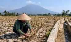 Ratusan Ribu Liter Air Dibutuhkan, 31 Titik Kota Bandung Masuk Zona Rawan Kekeringan