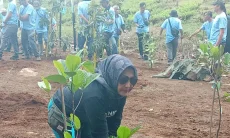 3 Tahun, Rosita Istiawan Bidik Lahan Kritis di Cisarua Kembali menjadi Hutan 