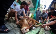 Risiko Penyakit Hewan Masih Mengintai, Pemkot Bandung Tingkatkan Pengawasan 