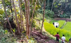Hindari Batu di Jalan, Angkot Cigalontang–Singaparna Terjun ke Sawah