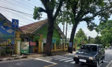 2 Pohon Besar di Samping SDN Cukanghaur, Orang Tua Siswa dan Warga Khawatir Tumbang