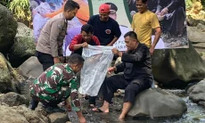 Gotong Royong Gunung Picung Tebar 2.000 Ekor Ikan di Sungai Cigamea