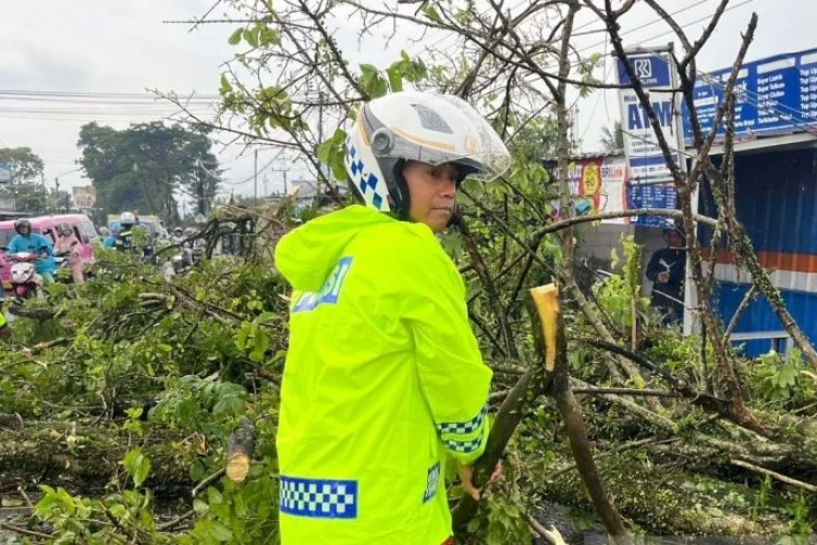 Pohon Tumbang,  Seorang Pemotor Tewas dan Jalur Puncak-Cianjur Sempat Terputus