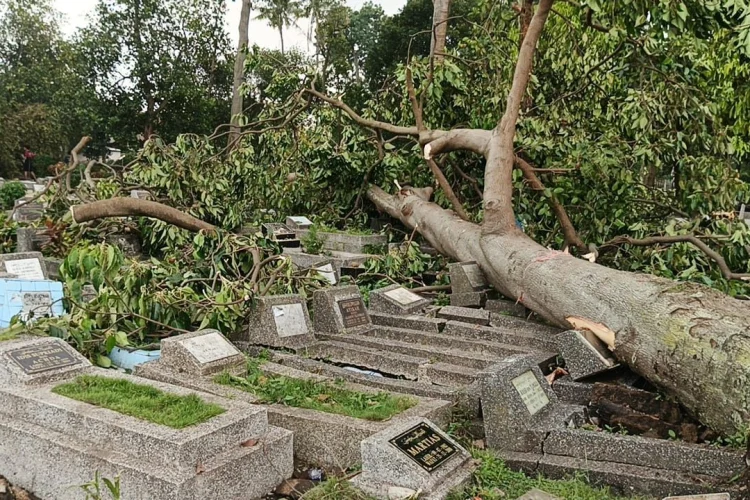 Puluhan Makam di Porib Rusak Akibat Tertimpa Pohon Tumbang