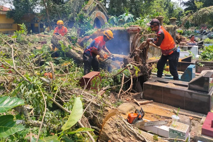 Sejumlah Pohon Tumbang Timpa Belasan Makam di TPU Cieunteung Kota Tasikmalaya