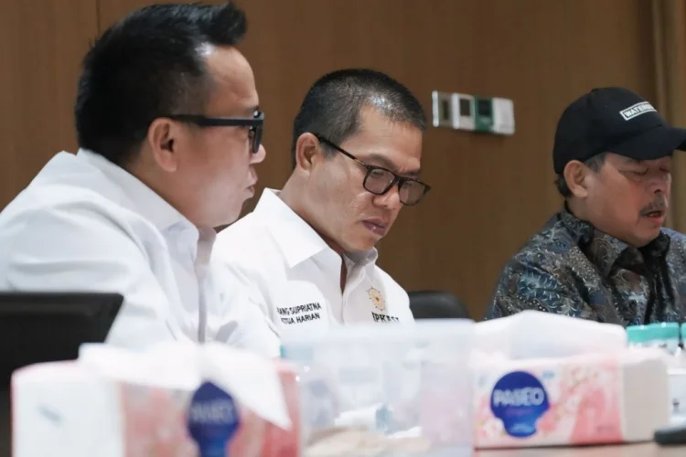 Apkasi Perkuat Daerah dalam Proyek PLTS Wujudkan Visi Energi Nasional