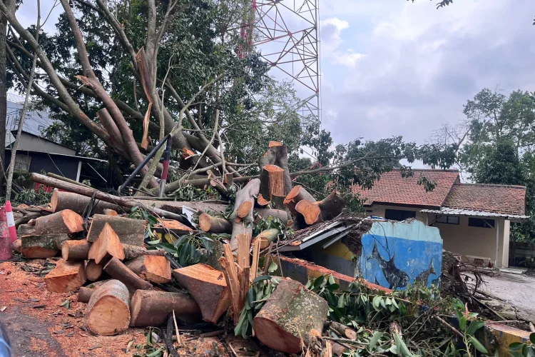 Cuaca Ekstrem di Bandung Raya Mulai Berubah Jadi Ancaman Bencana