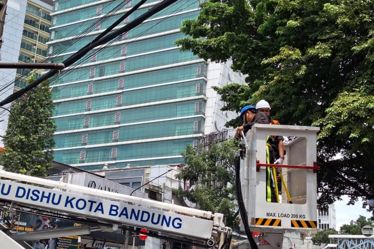 Biar PJU Terang, Dishub Kota Bandung Lakukan Pemangkasan Ranting Pohon