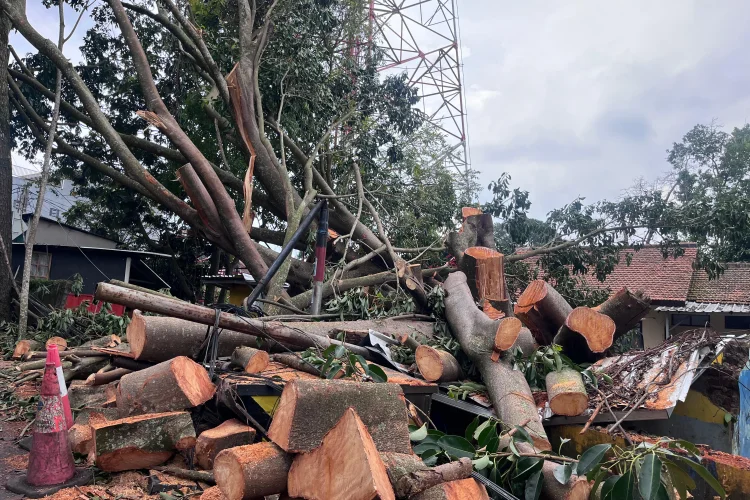 Anomali Cuaca, Kota Bandung Catat Rekor Bencana