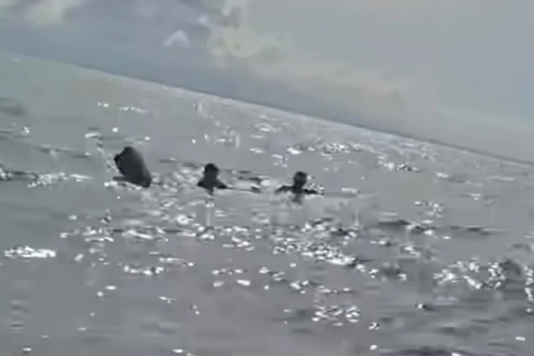 3 Nelayan Terombang-ambing 13 Jam di Laut Tanjung Lesung, Selamat Berkat Pemancing