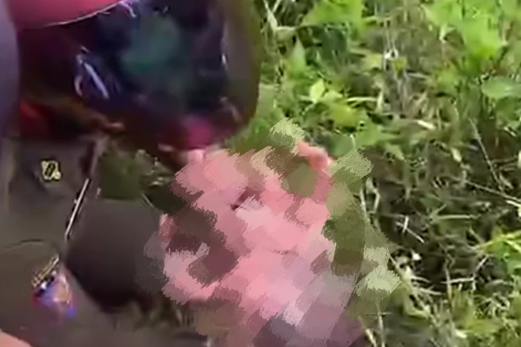 Dengar Tangisan, Warga Temukan Bayi Perempuan di Semak Belukar