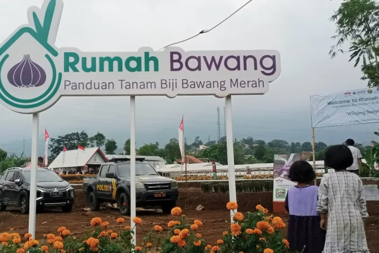 Dari PNS ke Petani Sukses, Rahasia Tono Suwarna Panen Bawang Merah Melimpah