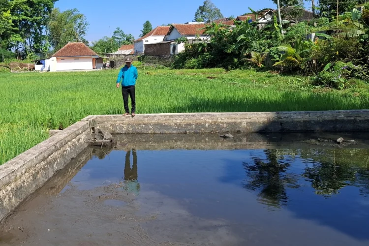 3 Balong di Mangkubumi Mendadak Surut, Diduga Kuat Dikuras Maling