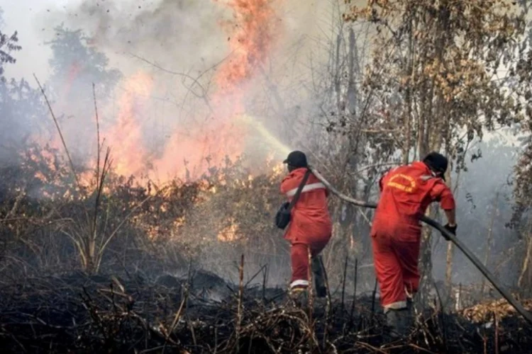 Alang-alang dan Rumput Kering Jadi Pemicu Kebakaran, Damkarmatan Minta Warga Waspada