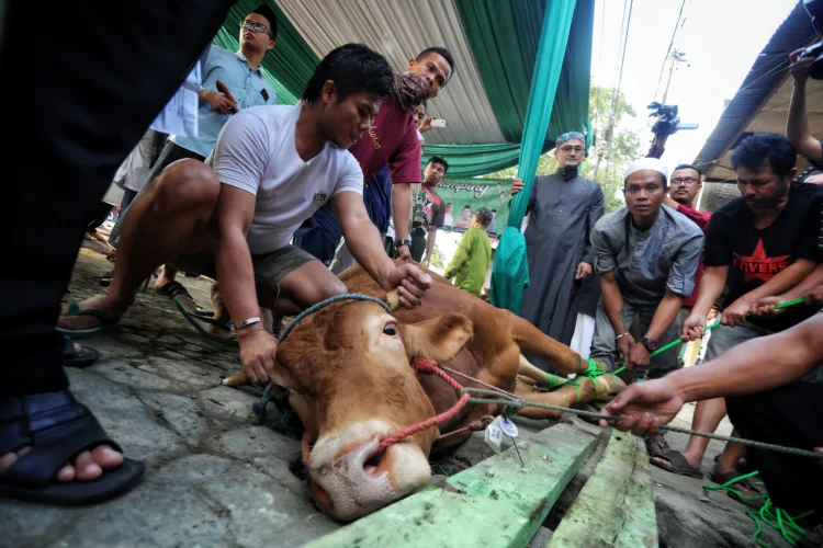 Risiko Penyakit Hewan Masih Mengintai, Pemkot Bandung Tingkatkan Pengawasan 