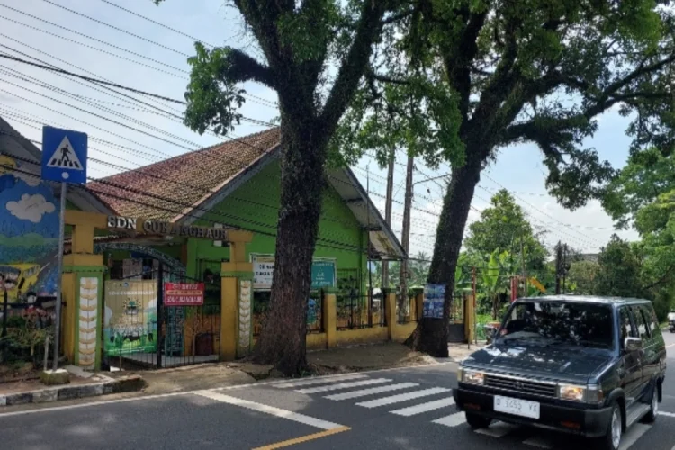 2 Pohon Besar di Samping SDN Cukanghaur, Orang Tua Siswa dan Warga Khawatir Tumbang