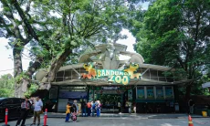 Pemerintah Siapkan Skenario Darurat Pengelolaan Bandung Zoo